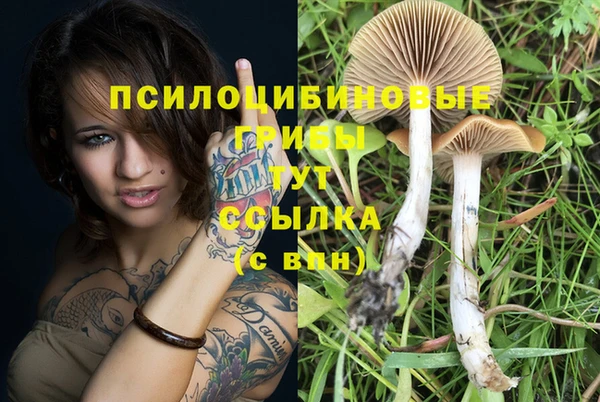 a pvp Алексин