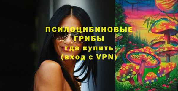 a pvp Алексин