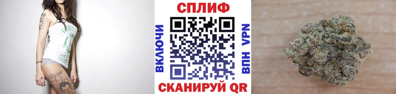 Шишки марихуана план  Петрозаводск 